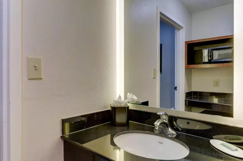 キングサイドベッドのスタンダードワンルーム, Fairfield Inn By Marriott Las Colinas