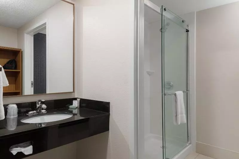 キングサイズベッドのスタンダードルーム, Fairfield Inn & Suites Memphis Southaven