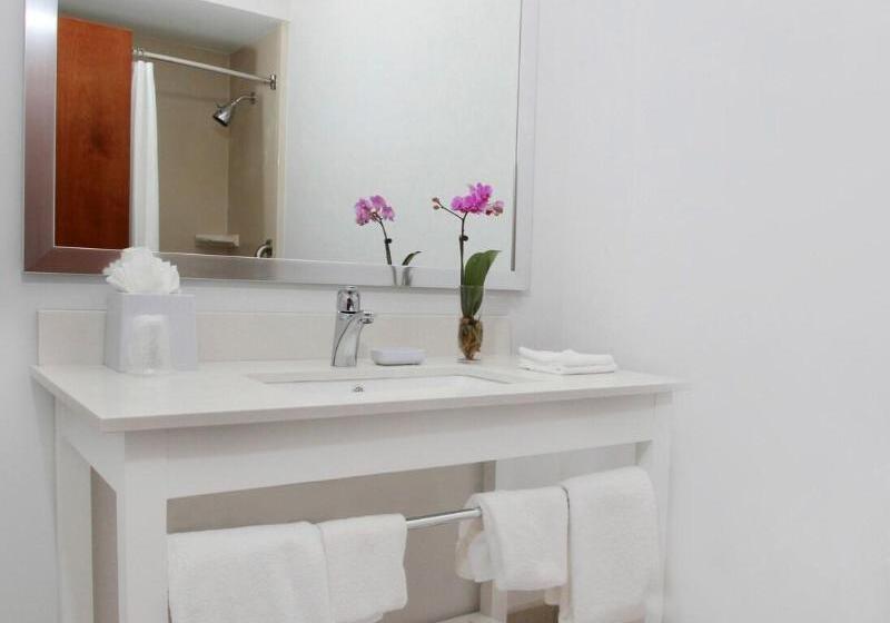 Standard Szoba King Size Bed, Four Points By Sheraton Portland East