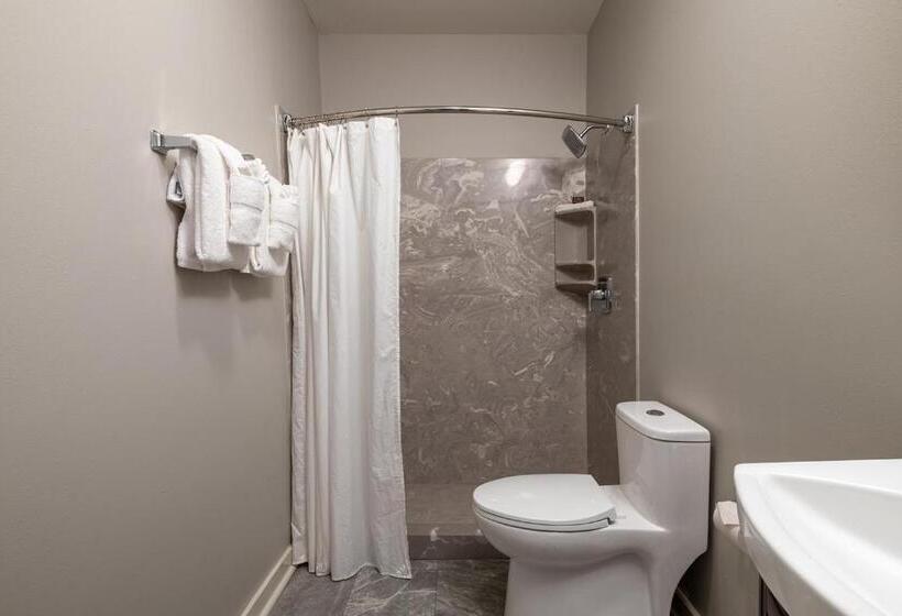 סטודיו דלוקס, French Quarter Suites