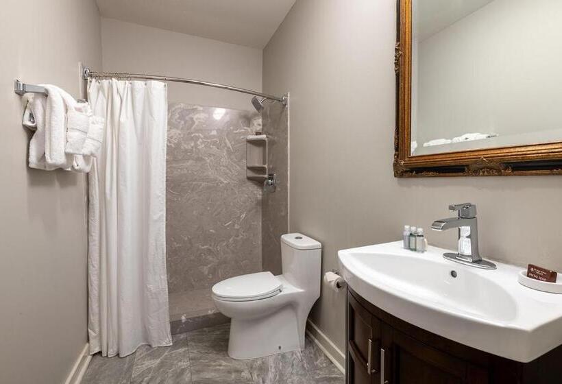 סטודיו דלוקס, French Quarter Suites