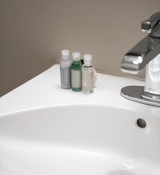 סטודיו דלוקס, French Quarter Suites