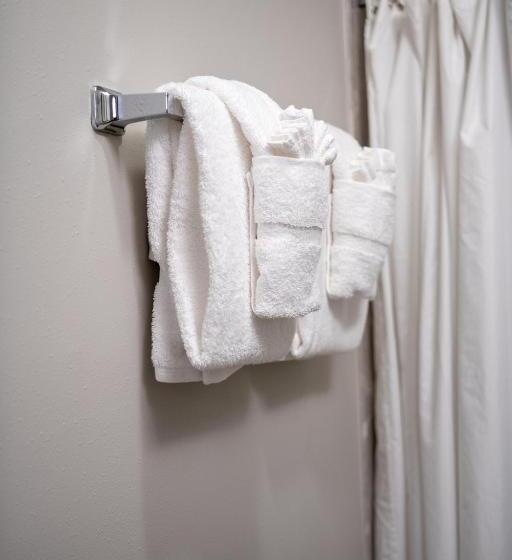 סטודיו דלוקס, French Quarter Suites