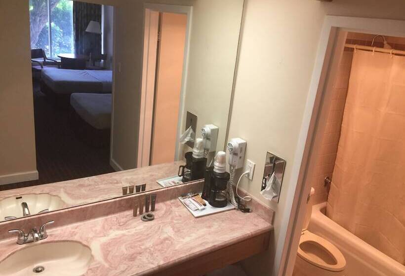 غرفه قياسيه سريرين مزدوجين, Grand Palms Spa & Golf Resort