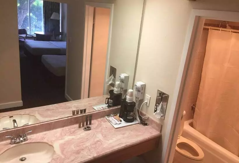 ２ダブルベッドのスタンダードルーム, Grand Palms Spa & Golf Resort