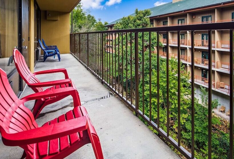 Suite Aangepast voor Gehandicapten, Surestay Plus Hotel By Best Western Gatlinburg