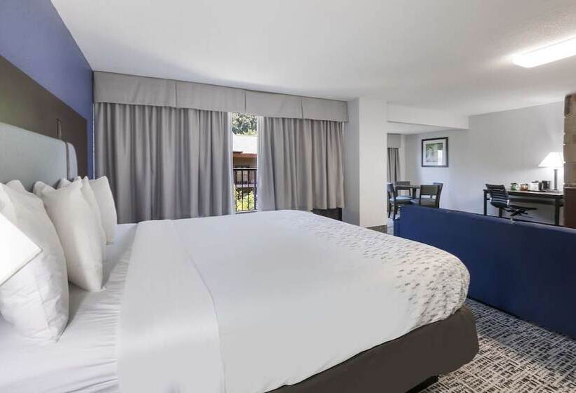 جناح لذوى الاحتياجات الخاصة, Surestay Plus Hotel By Best Western Gatlinburg