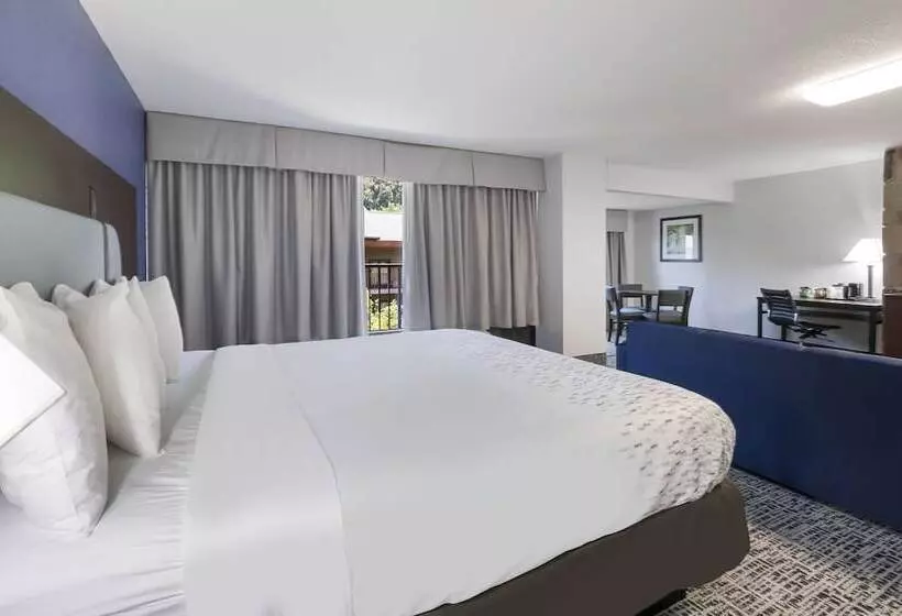 سوئیت برای معلولان, Surestay Plus Hotel By Best Western Gatlinburg