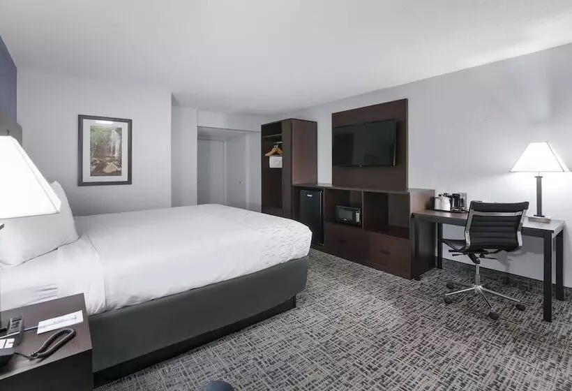 اتاق استاندارد با تخت دوبل, Surestay Plus Hotel By Best Western Gatlinburg