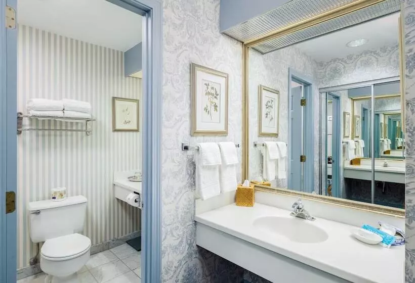 デラックスルーム, The Farmington Inn And Suites