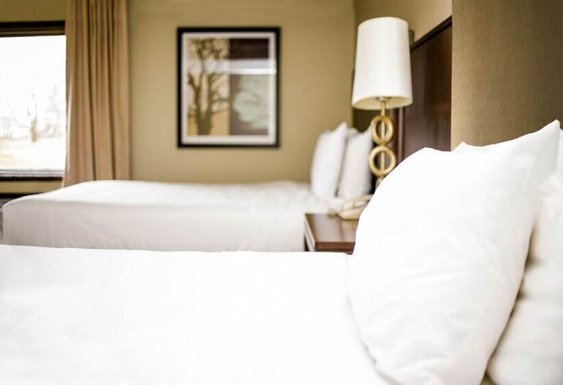 デラックスルーム, Par 5 Resort