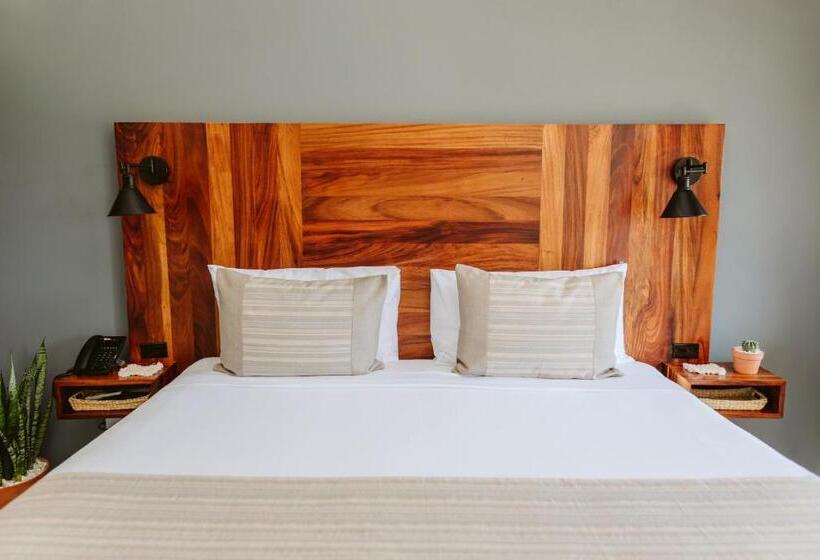 带大床的标准间, Six Two Four Urban Beach