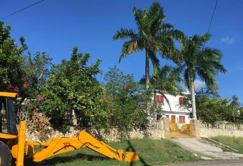 اتاق استاندارد یک نفره, African Symbol Guest House