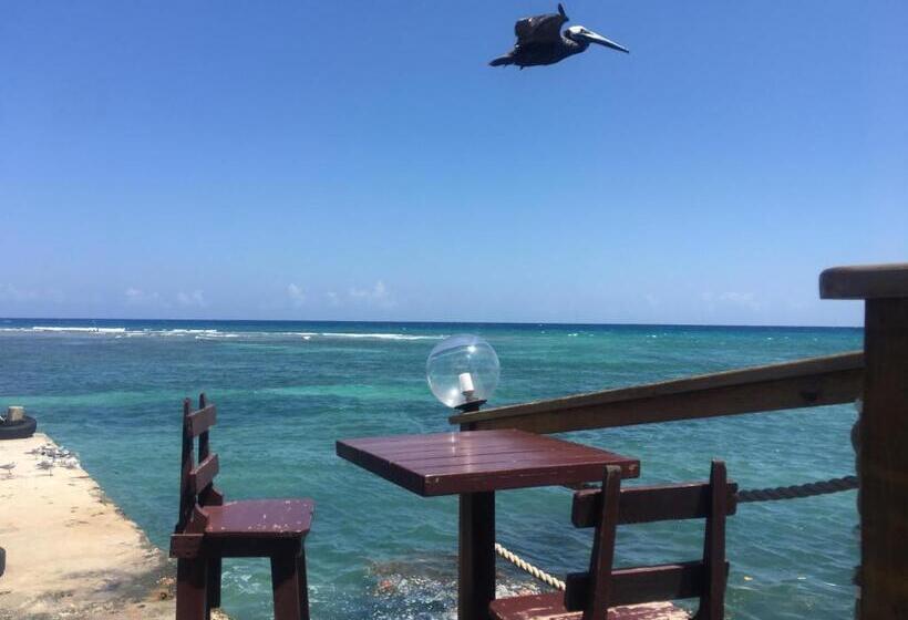 اتاق استاندارد چهار تخته, African Symbol Guest House