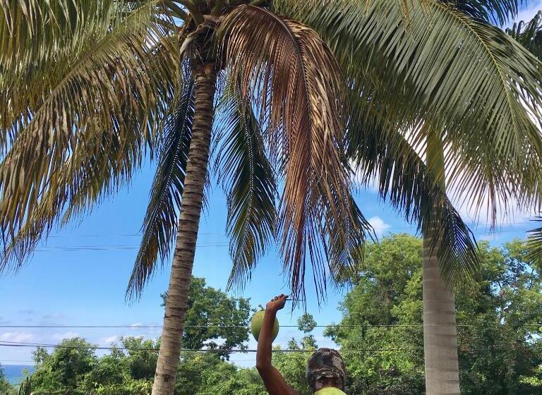 اتاق یک تخته با چشم‌انداز باغ, African Symbol Guest House