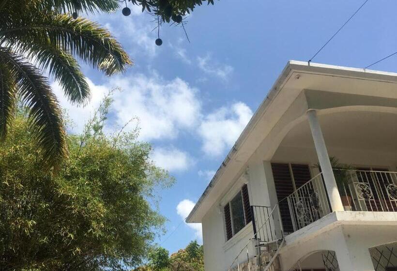 اتاق استاندارد با چشم‌انداز باغ, African Symbol Guest House