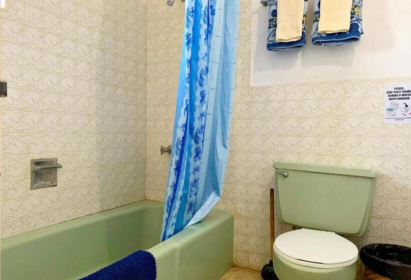 اتاق استاندارد با چشم‌انداز باغ, African Symbol Guest House