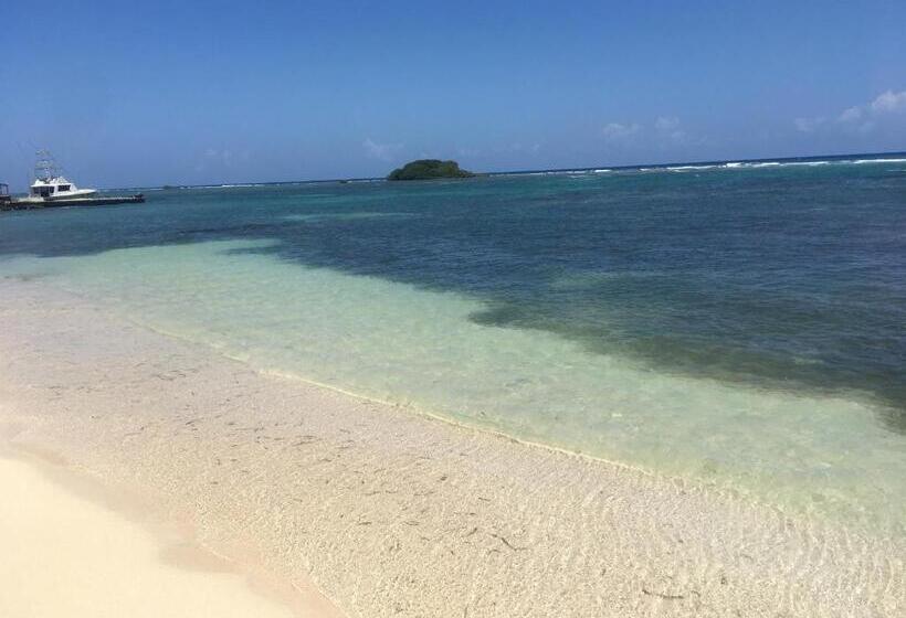 اتاق استاندارد یک نفره, African Symbol Guest House