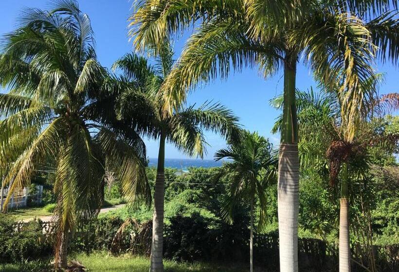 اتاق استاندارد چهار تخته, African Symbol Guest House