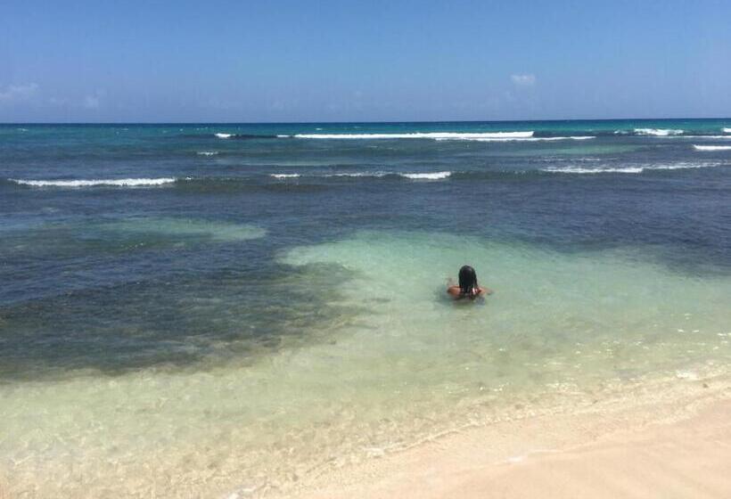 اتاق استاندارد سه نفره, African Symbol Guest House