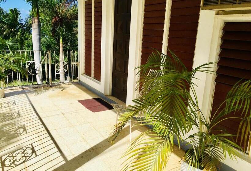 اتاق یک تخته با چشم‌انداز باغ, African Symbol Guest House