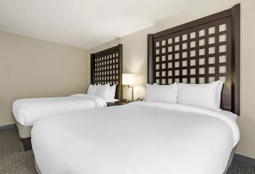 ２ダブルベッドのスタンダードルーム, Comfort Inn Plano Dallas