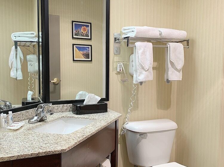 غرفه قياسيه سريرين مزدوجين, Comfort Inn & Suites Warsaw Near Us30