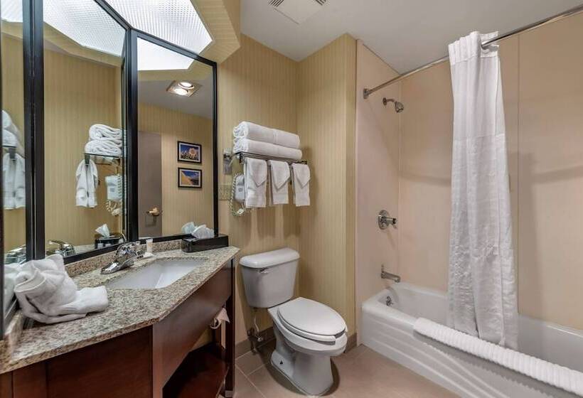 غرفه قياسيه سريرين مزدوجين, Comfort Inn & Suites Warsaw Near Us30