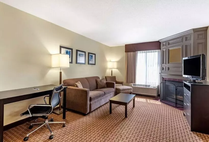 スイート, Comfort Inn & Suites Warsaw Near Us30