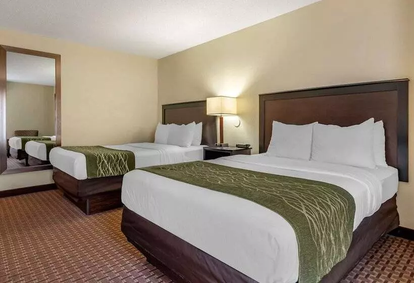 身障者適用スイートルーム, Comfort Inn & Suites Warsaw Near Us30