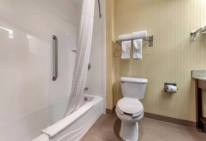 身障者適用スイートルーム, Comfort Inn & Suites Warsaw Near Us30