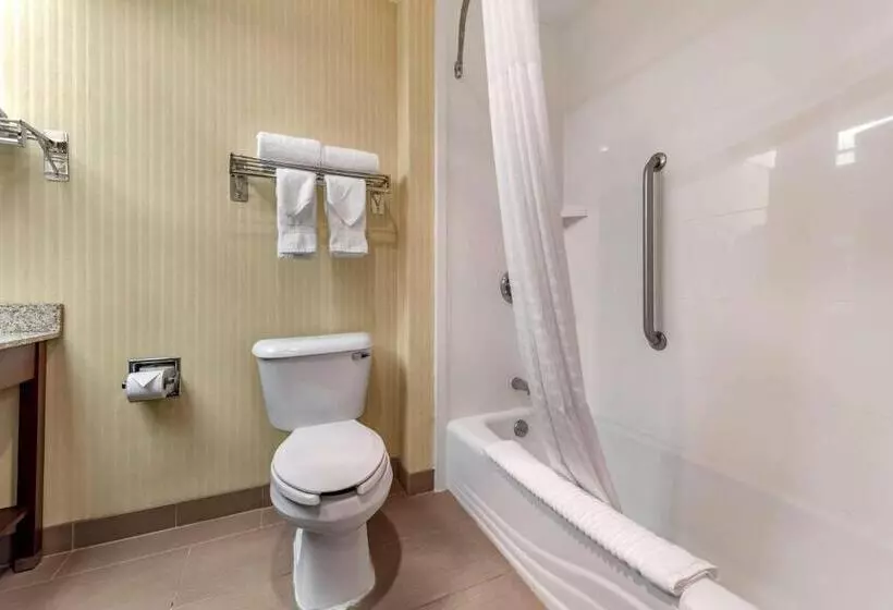 キングサイズベッドのスタンダードルーム, Comfort Inn & Suites Warsaw Near Us30