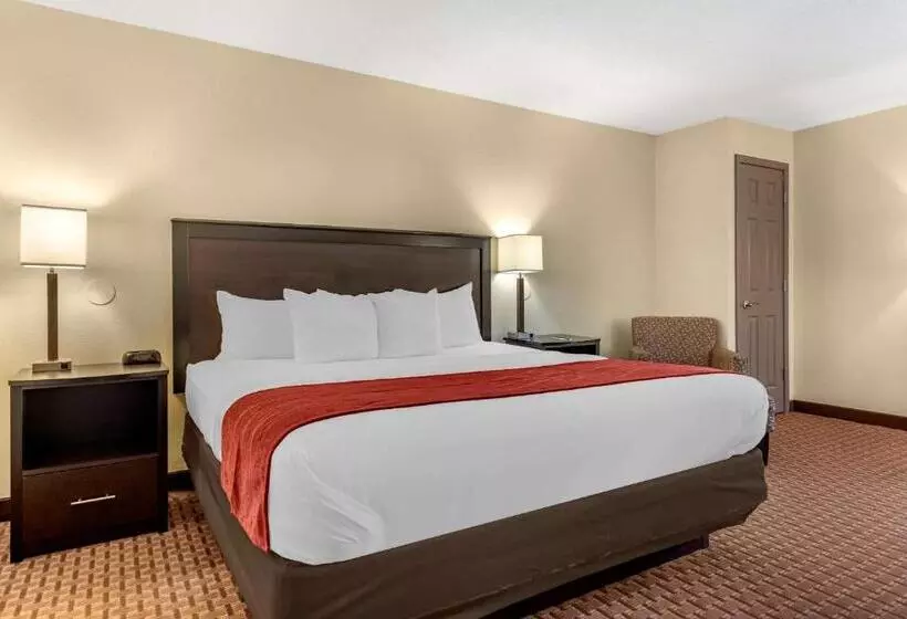 キングサイズベッドのスタンダードルーム, Comfort Inn & Suites Warsaw Near Us30
