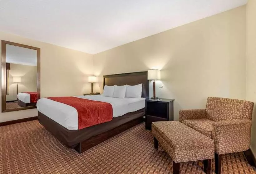 キングサイズベッドのスタンダードルーム, Comfort Inn & Suites Warsaw Near Us30