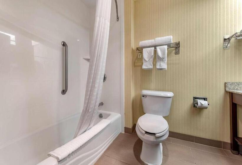 스위트, Comfort Inn & Suites Warsaw Near Us30