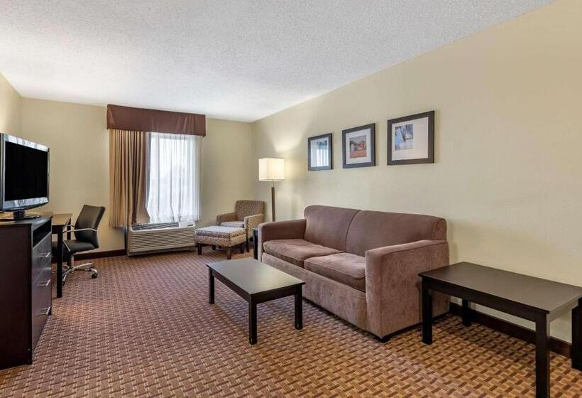 스위트 킹사이즈 침대, Comfort Inn & Suites Warsaw Near Us30
