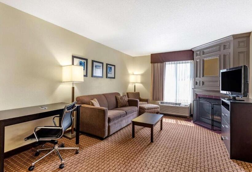 جناح سرير كينج, Comfort Inn & Suites Warsaw Near Us30