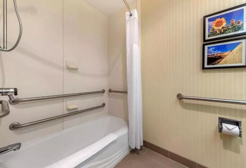身障者適用スタンダードルーム, Comfort Inn & Suites Warsaw Near Us30