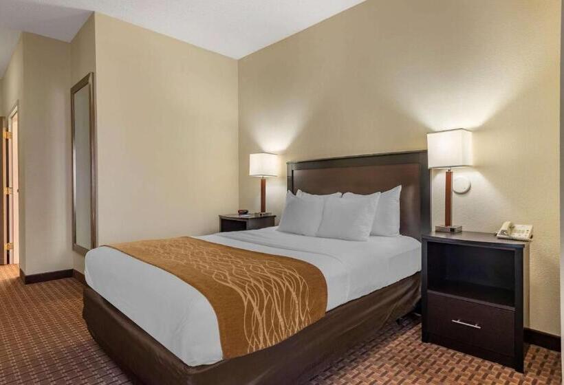 غرفة قياسية لذوى الاحتياجات الخاصة, Comfort Inn & Suites Warsaw Near Us30