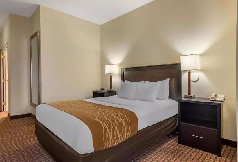身障者適用スタンダードルーム, Comfort Inn & Suites Warsaw Near Us30