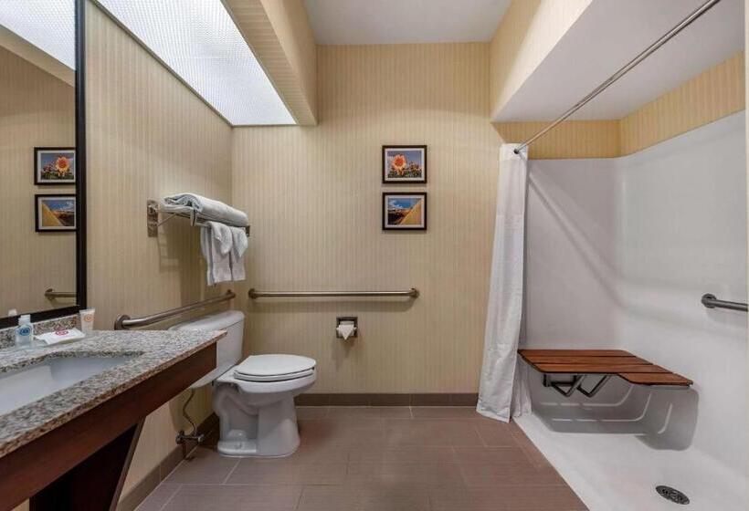 장애인을 위한 스탠다드 룸, Comfort Inn & Suites Warsaw Near Us30
