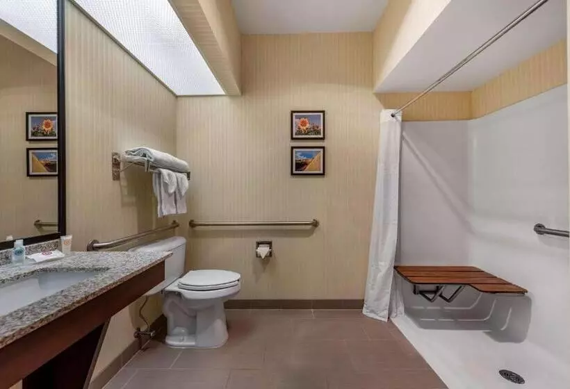 身障者適用スタンダードルーム, Comfort Inn & Suites Warsaw Near Us30