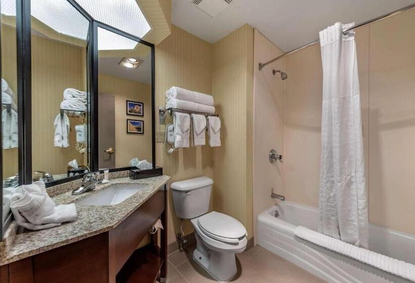 جناح لذوى الاحتياجات الخاصة, Comfort Inn & Suites Warsaw Near Us30