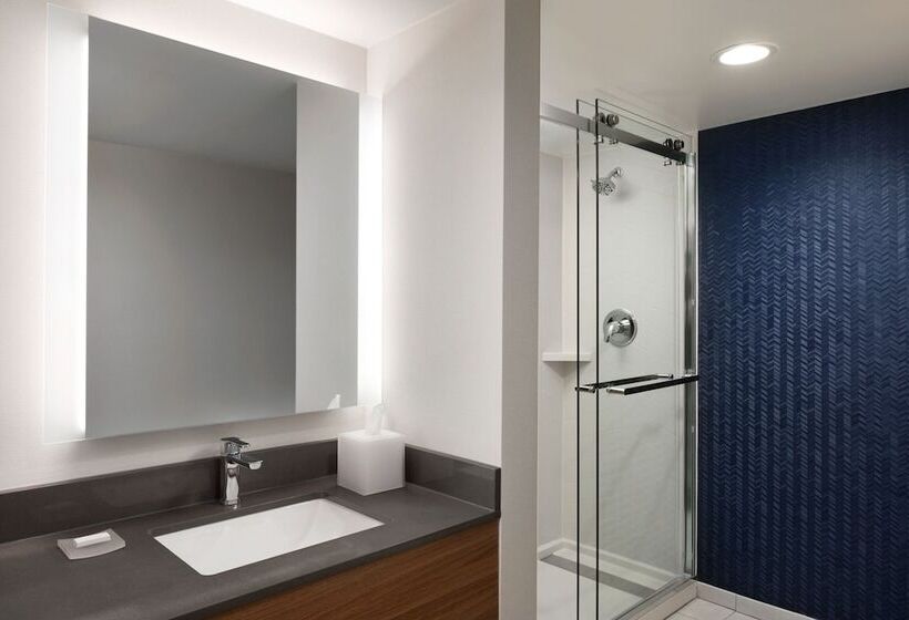 Номер Стандарт 2 Двуспальные Кровати, Fairfield Inn & Suites By Marriott Denver Southwest/lakewood