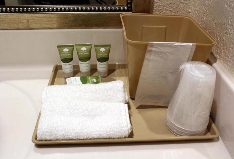 غرفة قياسية فردية, Great Western Inn