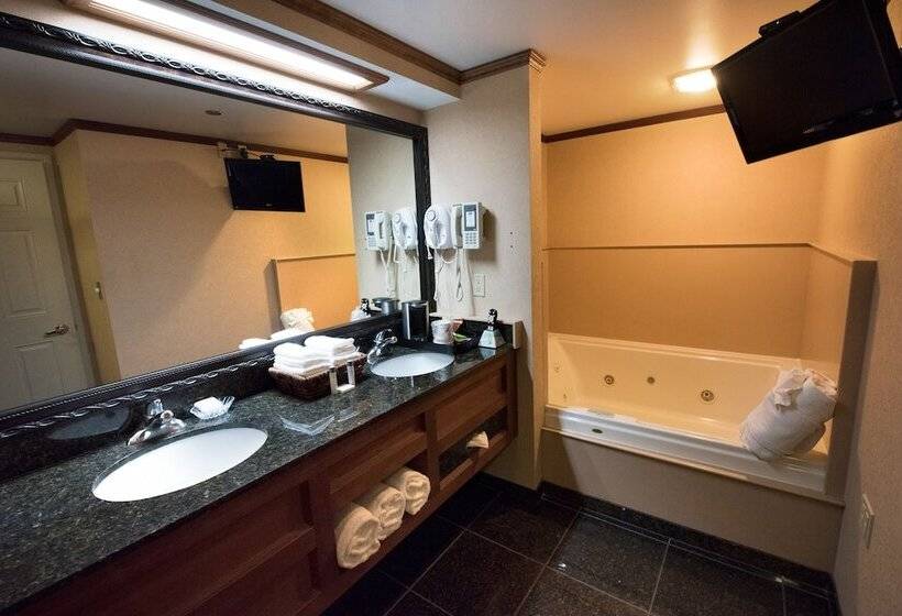 חדר דלוקס נוף לאגם, Hamilton Inn Select Beachfront Mackinaw City