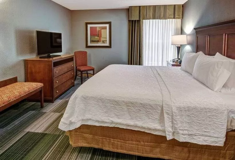 スイート, Hampton Inn & Suites Pigeon Forge On The Parkway