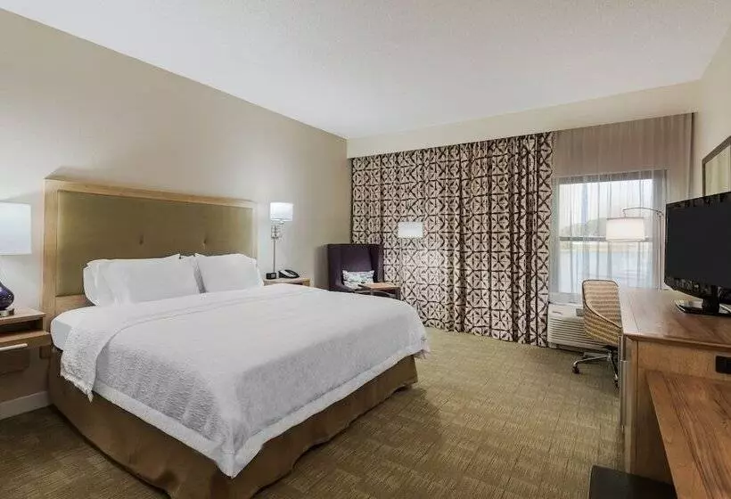 キングサイズベッドのスタンダードルーム, Hampton Inn Bonita Springs/naplesnorth