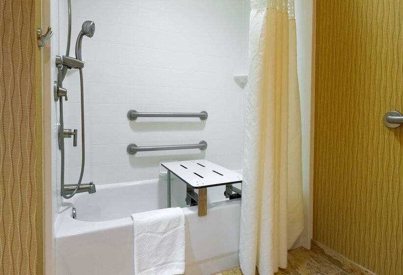 장애인을 위한 킹사이즈 침대 스탠다드 룸, Larkspur Landing Carlisle