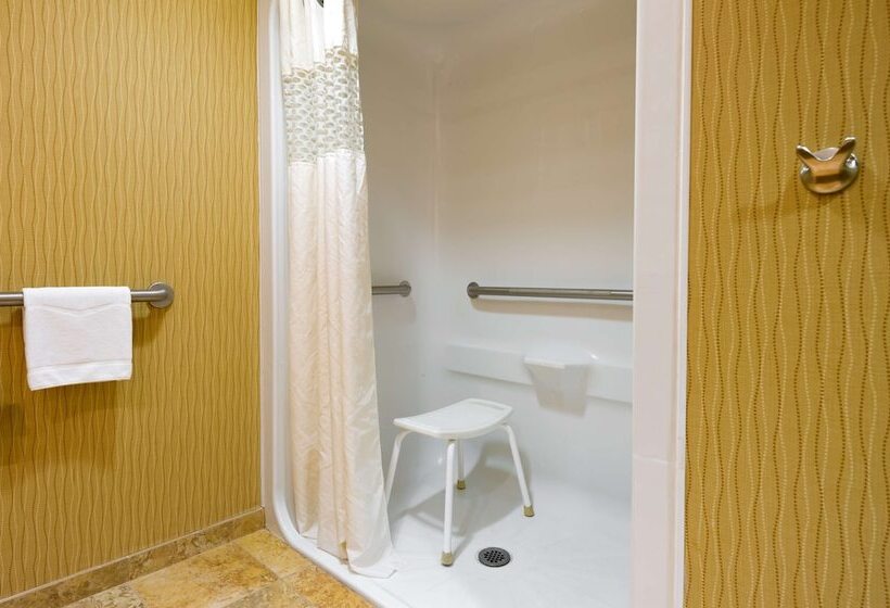 장애인을 위한 킹사이즈 침대 스탠다드 룸, Larkspur Landing Carlisle